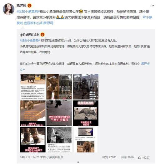 小象莫莉首次爆料视频,独家爆料背后的故事