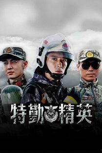 特勤在线观看,揭秘神秘特勤部队的英勇事迹