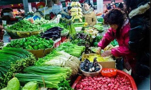临沂吃生瓜网红店地址,探寻临沂特色小吃新地标 第1张 临沂吃生瓜网红店地址,探寻临沂特色小吃新地标 第1张