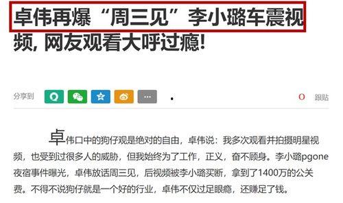 卓伟最新爆料李小路,李小璐事件再掀波澜,真相究竟如何? 第3张 卓伟最新爆料李小路,李小璐事件再掀波澜,真相究竟如何? 第3张