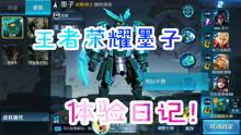 王者爆料大君视频大全集,揭秘游戏幕后精彩瞬间